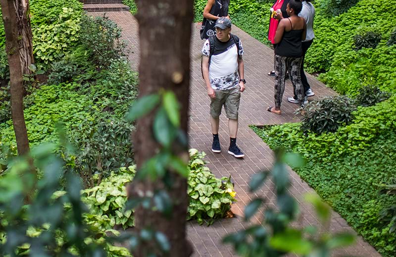 People walking in the Ford Foundation atrium garden