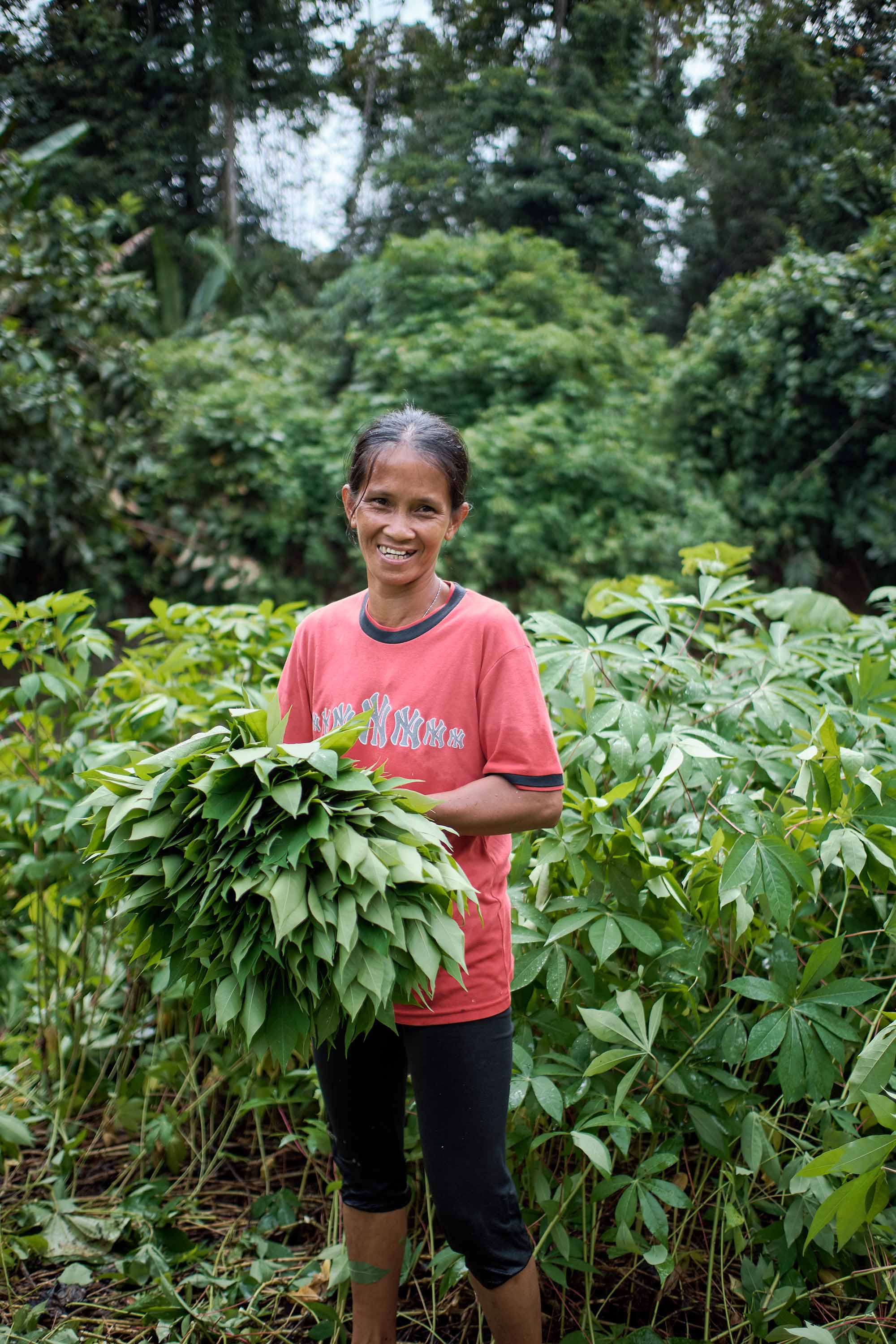 A woman with black hair and in pink shirt holds vegetable leaves harvested from the lush tropical rainforest