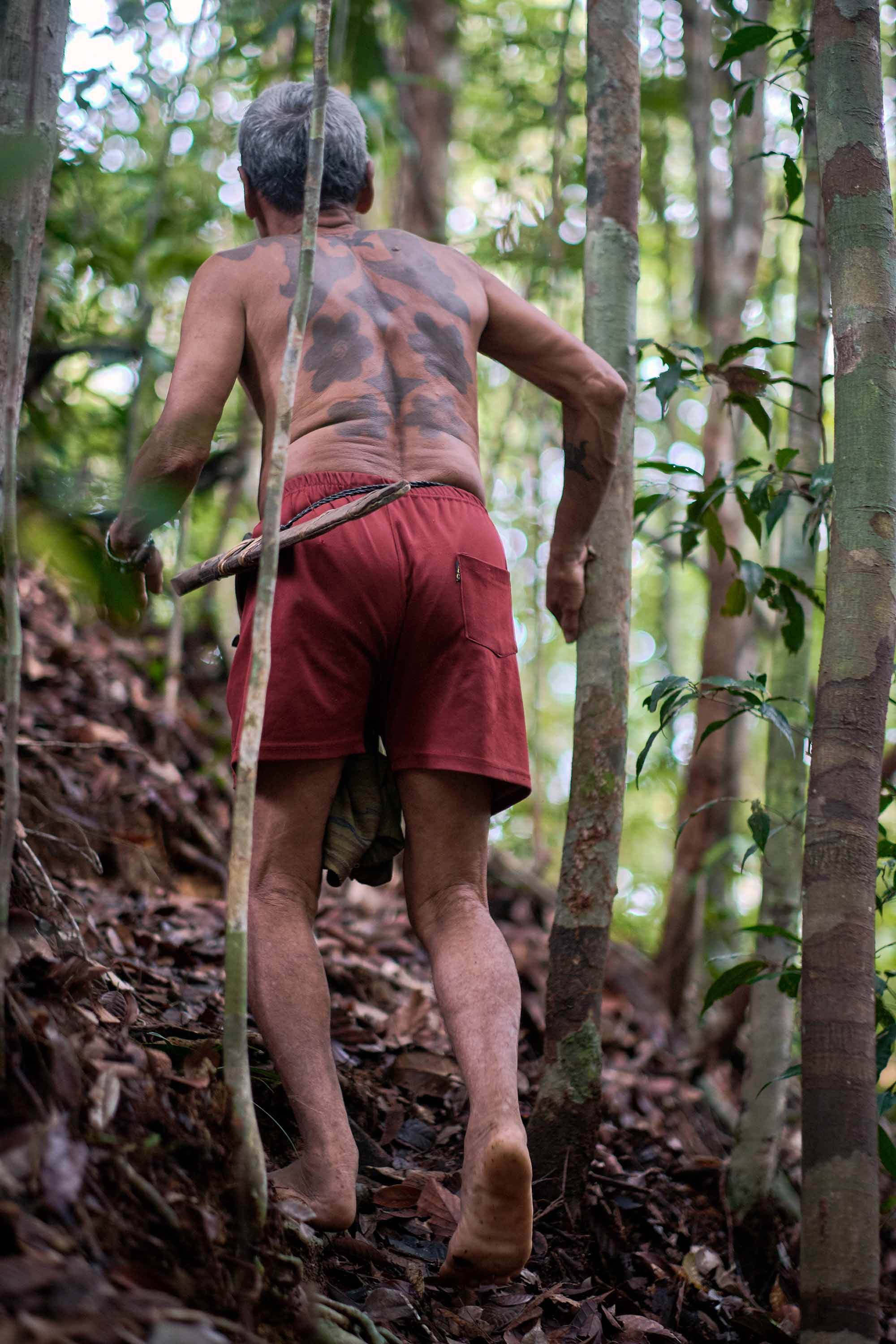 Shirtless Sungai Utik elder Apai Janggut in red shorts walks uphill barefoot in his community’s forestland