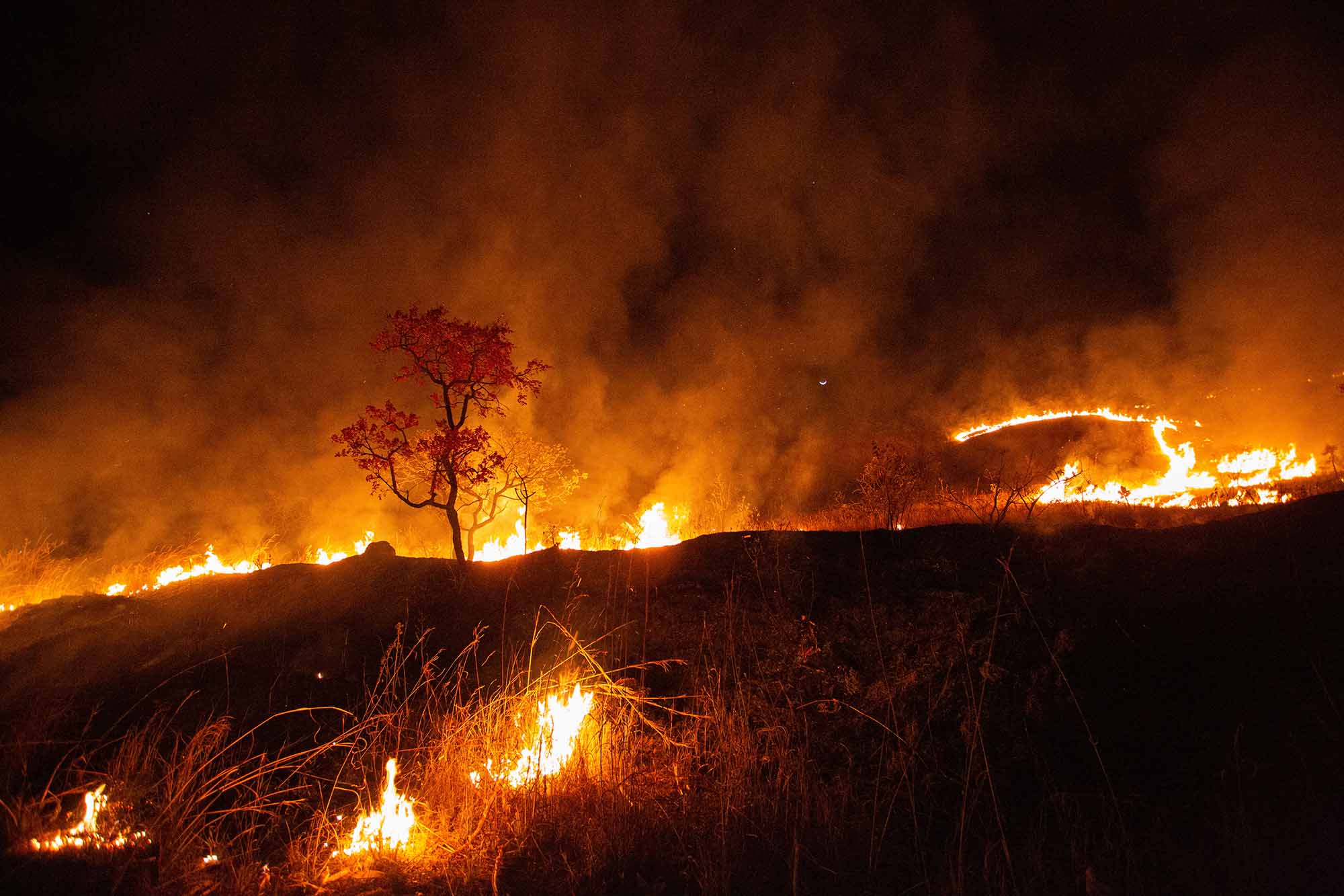 A bright orange fire burns on a hill as smoke rises on blackened earth.