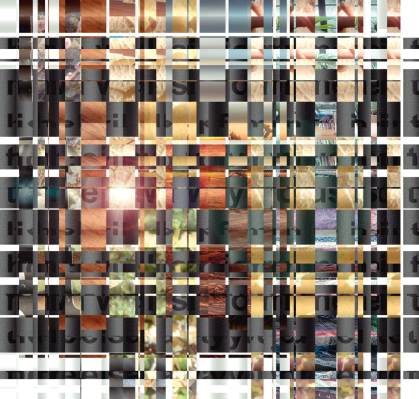 Image of a digital textile using multiple images and text into a woven grid-like pattern.